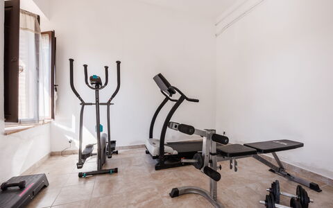 Anilde, Holiday Home with Pool, Wifi, Tuscany: Træ, Etage, Gulvbelægning, Bygning, Hårdttræ, Maskine, Metal, Øvelse Maskine