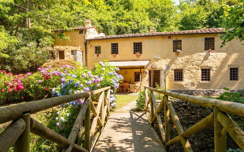 Molin Barletta, Private Pool, Nature - Marliana, T: Plante, Blomst, Bygning, Vindue, Ejendom, Træ, Træ, Hegn, Hus, Gul