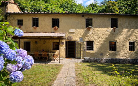 Molin Barletta, Private Pool, Nature - Marliana, T: Hus, Busk, Sommerhus, Estate, Landdistrikt, Backyard, Have, Gård, Hacienda, Lawn