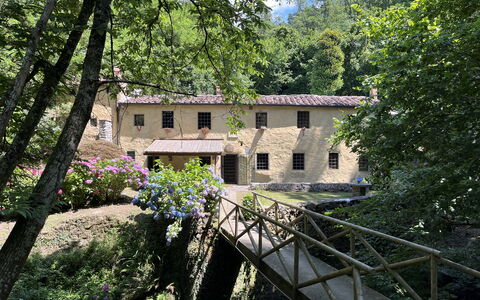 Molin Barletta, Private Pool, Nature - Marliana, T: Plante, Vindue, Bygning, Træ, Naturlige Landskab, Hus, Ejendom, Blomst, Sommerhus, Træ