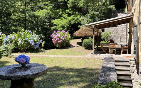 Molin Barletta, Private Pool, Nature - Marliana, T: Plante, Botanik, Blad, Naturlige Landskab, Træ, Vegetationen, Græs, Himmel, Landskab, Busk