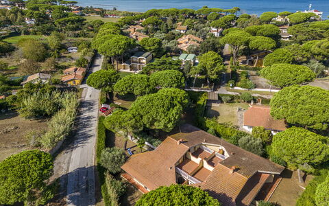 Argentario Giannella Apartment- Orbetello, Toscana: Plante, Vand, Vegetationen, Træ, Land Lot, Urban Design, Biome, Græs, Naturlige Landskab, Kvarter