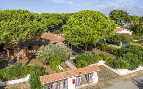 Giannella Apartment - Orbetello, Toscana: Plante, Himmel, Sky, Ejendom, Træ, Urban Design, Land Lot, Landskab, Vindue, Busk