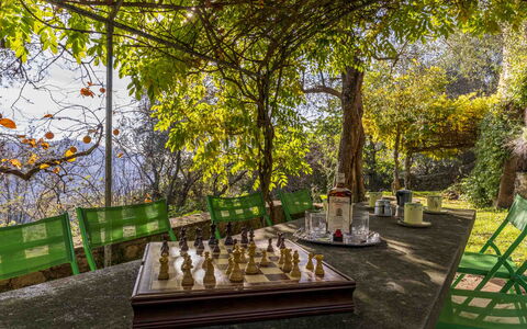 La Casa Dei Limoni, Camaiore, Pet Friendly, Wifi: Plante, Bord, Skygge, Træ, Sollys, Naturlige Landskab, Stol, Landskab, Fritid, Udendørs Møbler