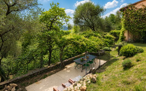 La Casa Dei Limoni, Camaiore, Pet Friendly, Wifi: Blad, Vegetationen, Busk, Landdistrikt, Plantesamfund, Have, Land Lot, Bunddække, Forår, Sollys