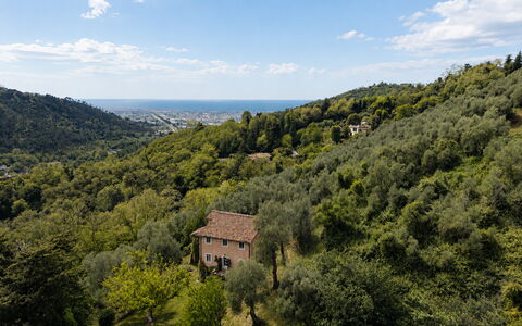 La Casa Dei Limoni, Camaiore, Pet Friendly, Wifi: Blad, Naturligt Miljø, Natur, Vegetationen, Naturlige Landskab, Bakke, Highland, Landskab, Økoregion, Plantesamfund