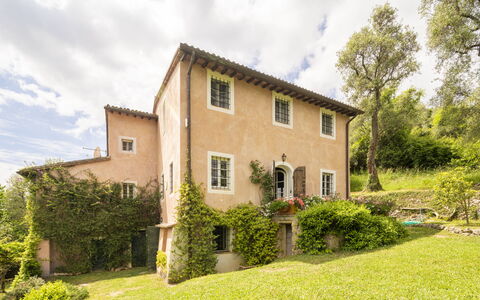 La Casa Dei Limoni, Camaiore, Pet Friendly, Wifi: Træ, Græs, Hus, Busk, Hjem, Landdistrikt, Sommerhus, Landskab, Land Lot