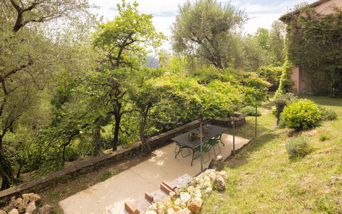 La Casa Dei Limoni, Camaiore, Pet Friendly, Wifi: Blad, Vegetationen, Busk, Have, Plantesamfund, Landdistrikt, Forår, Backyard, Landscaping