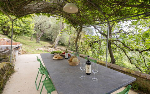 La Casa Dei Limoni, Camaiore, Pet Friendly, Wifi: Møbel, Udendørs Bord, Udendørs Møbler, Have, Sollys, Skygge, Stol, Køkken & Spisebord, Backyard