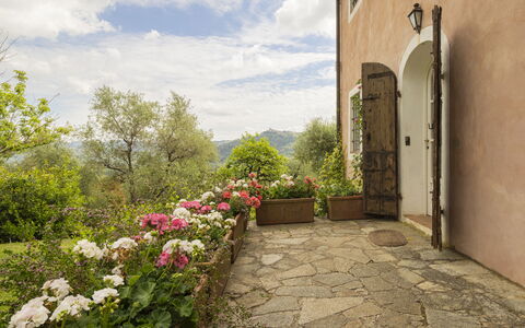 La Casa Dei Limoni, Camaiore, Pet Friendly, Wifi: Busk, Plantesamfund, Have, Blomsterkrukke, Stueplante, Flise