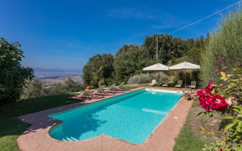 Villa Belvedere: Vand, Plante, Ejendom, Himmel, Svømmepøl, Azure, Blomst, Paraply, Træ, Stol