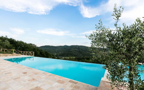 Villa Niccione: Vand, Sky, Himmel, Plante, Bygning, Svømmepøl, Azure, Træ, Rektangel, Skygge