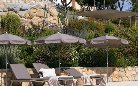 Pendolino Spereto Apartment With Pool, Montaione: Paraply, Udendørs Møbler, Svømmepøl, Udvej, Møbel, Skygge, Liggestol, Eco Hotel, Stol, Udendørs Struktur