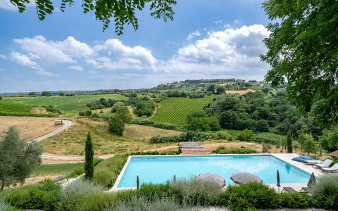 Coratina Spereto Apartment with Pool, Montaione: Svømmepøl, Udendørs Møbler, Have, Estate, Eco Hotel, Landscaping, Liggestol, Plantation, Villa, Ferieby