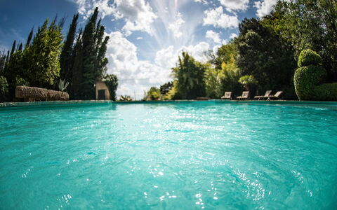 Palazzo Trasimeno: Sky, Vand, Himmel, Plante, Naturlige Landskab, Træ, Svømmepøl, Coastal Og Oceaniske Landskabsformer, Arecales, Sø