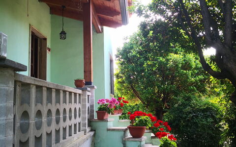 Franco House With Pool: Blomst, Plante, Bygning, Blomsterkrukke, Hus, Træ, Træ, Vindue, Vejbelægning, Skygge