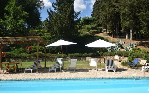 Podere Le Muricce: Vand, Plante, Sky, Paraply, Himmel, Svømmepøl, Træ, Skygge, Stol, Udendørs Møbler