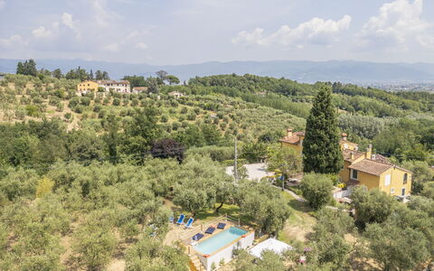 Country House Casalguidi 191 Private Pool: Træ, Landdistrikt, Estate, Stuehus, Plantation, Villa, Hacienda