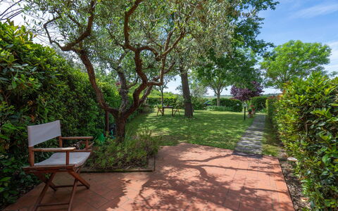 Casa Bellosguardo a Vinci: Plante, Plantesamfund, Himmel, Skygge, Naturlige Landskab, Land Lot, Træ, Vedplante, Vejbelægning, Fritid