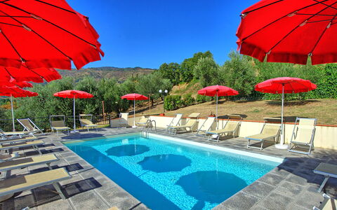 Casalta: Vand, Himmel, Plante, Ejendom, Paraply, Svømmepøl, Blå, Azure, Skygge, Udendørs Møbler