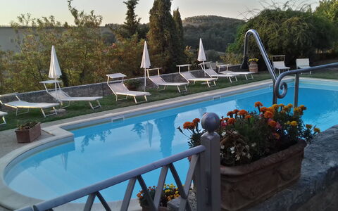 Villa Delle Palme: Vand, Plante, Svømmepøl, Blå, Azure, Træ, Himmel, Udendørs Møbler, Blomsterkrukke, Blomst