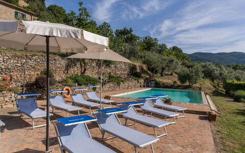 Casale Della Torre: Sky, Vand, Plante, Himmel, Ejendom, Møbel, Plantesamfund, Paraply, Svømmepøl, Liggestol