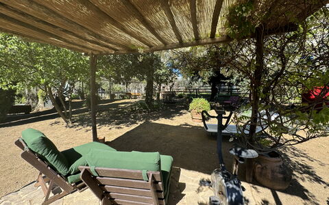 Il Cantuccio: Plante, Natur, Udendørs Bench, Blad, Skygge, Udendørs Møbler, Botanik, Biome, Fritid, Træ