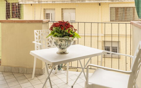 Leandro's House Near Thermal Baths: Blomst, Bord, Møbel, Vindue, Plante, Træ, Bygning, Blomsterkrukke, Indretning, Gulvbelægning