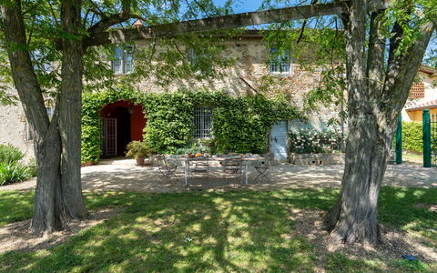 Casa Mirandola: Plante, Træ, Bygning, Vindue, Naturlige Landskab, Land Lot, Vegetationen, Skygge, Himmel, Græs