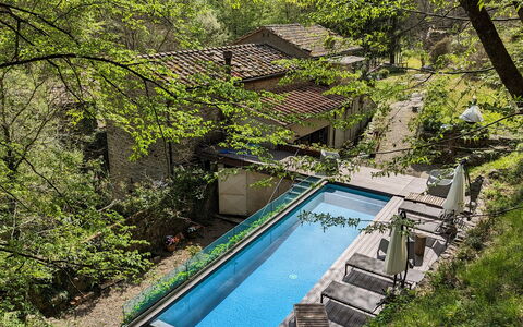 Mulino Morandi: Vand, Plante, Vandressourcer, Plantesamfund, Sky, Naturlige Landskab, Skygge, Vandløb, Træ, Himmel