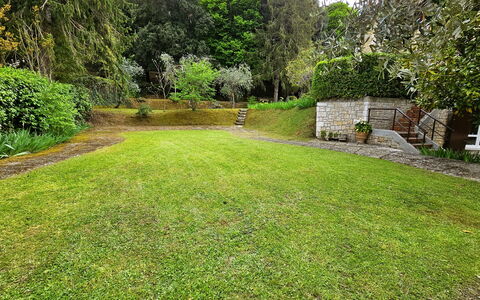 La Piccola Rocca: Plante, Ejendom, Grøn, Træ, Naturlige Landskab, Land Lot, Græs, Vegetationen, Busk, Landskab