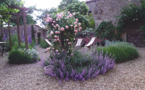 Casa Di Pietro In Vivo D'orcia, Pool: Blomst, Busk, Have, Lyserød, Bunddække, Purple, Blomstrende Plante, Landscaping, Gård, Backyard