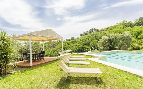 Villa Montegattoli, Pool, Landscape, Wifi, Ac: Plante, Sky, Himmel, Udendørs Møbler, Skygge, Naturlige Landskab, Græs, Svømmepøl, Fritid, Landskab