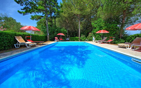 Leccino: Vand, Plante, Møbel, Svømmepøl, Træ, Stol, Bygning, Skygge, Udendørs Møbler