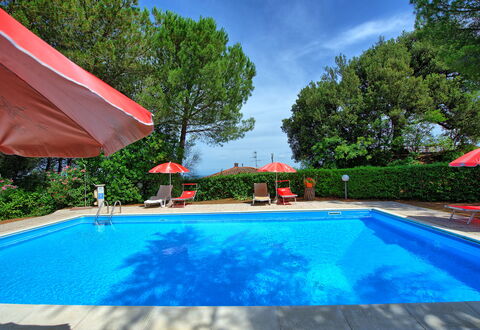 Leccino: Vand, Plante, Ejendom, Svømmepøl, Sky, Natur, Azure, Himmel, Træ, Skygge