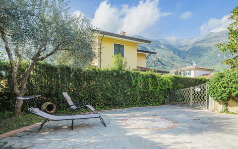 Orchidea: Plante, Sky, Himmel, Bygning, Vindue, Udendørs Bench, Hus, Vejbelægning, Træ, Udendørs Møbler