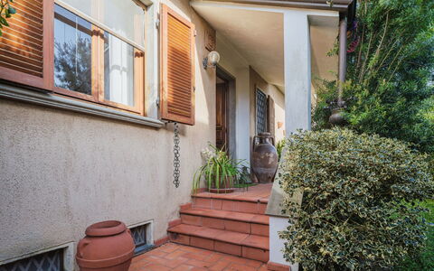 Orchidea: Plante, Ejendom, Bygning, Vindue, Arkitektur, Kvarter, Væg, Vejbelægning, Boligområde, Træ