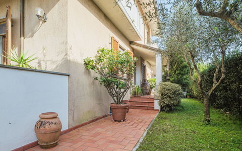 Orchidea: Plante, Ejendom, Bygning, Vejbelægning, Træ, Blomsterkrukke, Træ, Vindue, Græs, Gulvbelægning