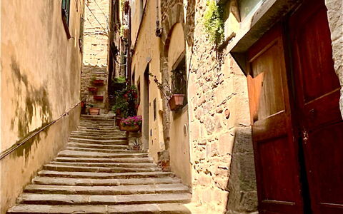 Vicolo Della Scala Rooms: Bygning, Træ, Vejbelægning, Hus, Plante, Trappe, Gulvbelægning, Kvarter, Gyde, Toner Og Skygger