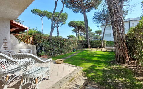 Dimora Del Capitano: Plante, Himmel, Ejendom, Bygning, Træ, Skygge, Arecales, Urban Design, Kvarter, Vedplante