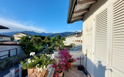 Appartamento Mare Azzurro: Plante, Himmel, Bygning, Blomst, Blomsterkrukke, Vindue, Stueplante, Hus, Sky, Skygge