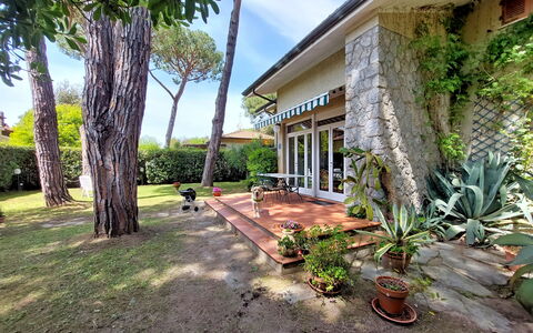 Casa La Pineta: Plante, Ejendom, Bygning, Natur, Træ, Blomsterkrukke, Himmel, Land Lot, Arecales, Græs