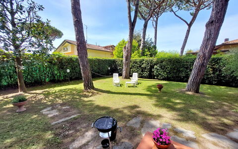 Casa La Pineta: Plante, Ejendom, Himmel, Blomsterkrukke, Botanik, Træ, Bygning, Sky, Græs, Arecales