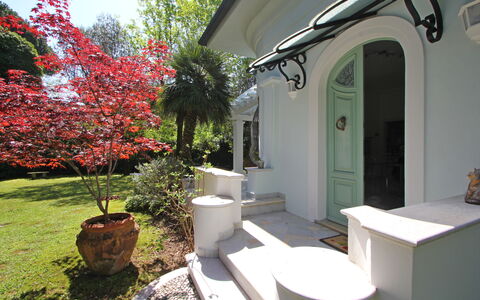 Villa Le Macchie: Plante, Ejendom, Blomst, Bygning, Blomsterkrukke, Belysning, Træ, Arkitektur, Stueplante, Skygge