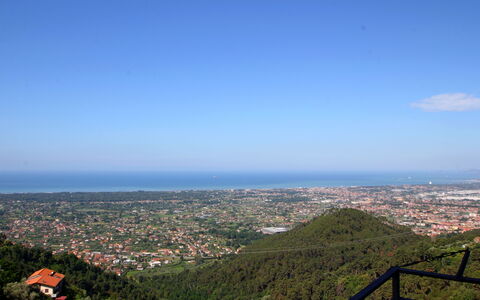 Panorama: Sky, Himmel, Plante, Highland, Terræn, Cityscape, Cumulus, Træ, Horisont, City
