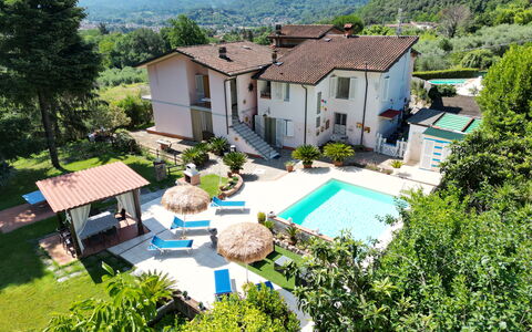 Casa Luigi: Plante, Bygning, Ejendom, Vindue, Træ, Hus, Sommerhus, Land Lot, Urban Design, Kvarter