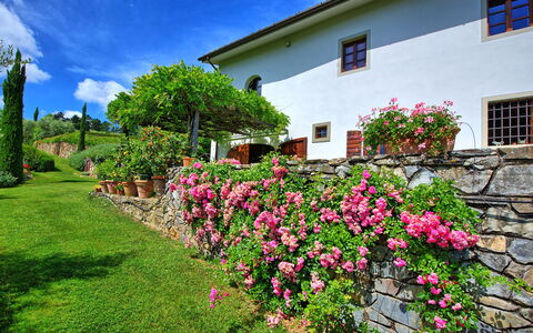 Villa Mami: Blomst, Plante, Himmel, Ejendom, Vindue, Sky, Grøn, Bygning, Arkitektur, Træ