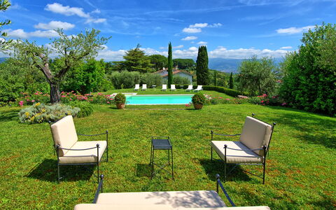 Villa Mami: Himmel, Plante, Sky, Møbel, Vand, Ejendom, Grøn, Træ, Naturlige Landskab, Udendørs Møbler