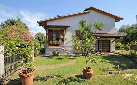 Casa Il Prato: Plante, Himmel, Ejendom, Blomst, Bygning, Vindue, Blomsterkrukke, Træ, Land Lot, Vegetationen