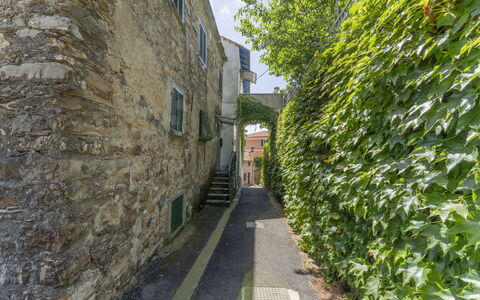 Emma House, Terrace and Sea View, Moneglia: Plante, Vejbelægning, Arkitektur, Bygning, Græs, Vindue, Vej, City, Træ, Facade